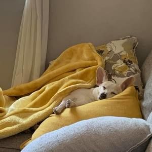 Meet your Posher, Cameron